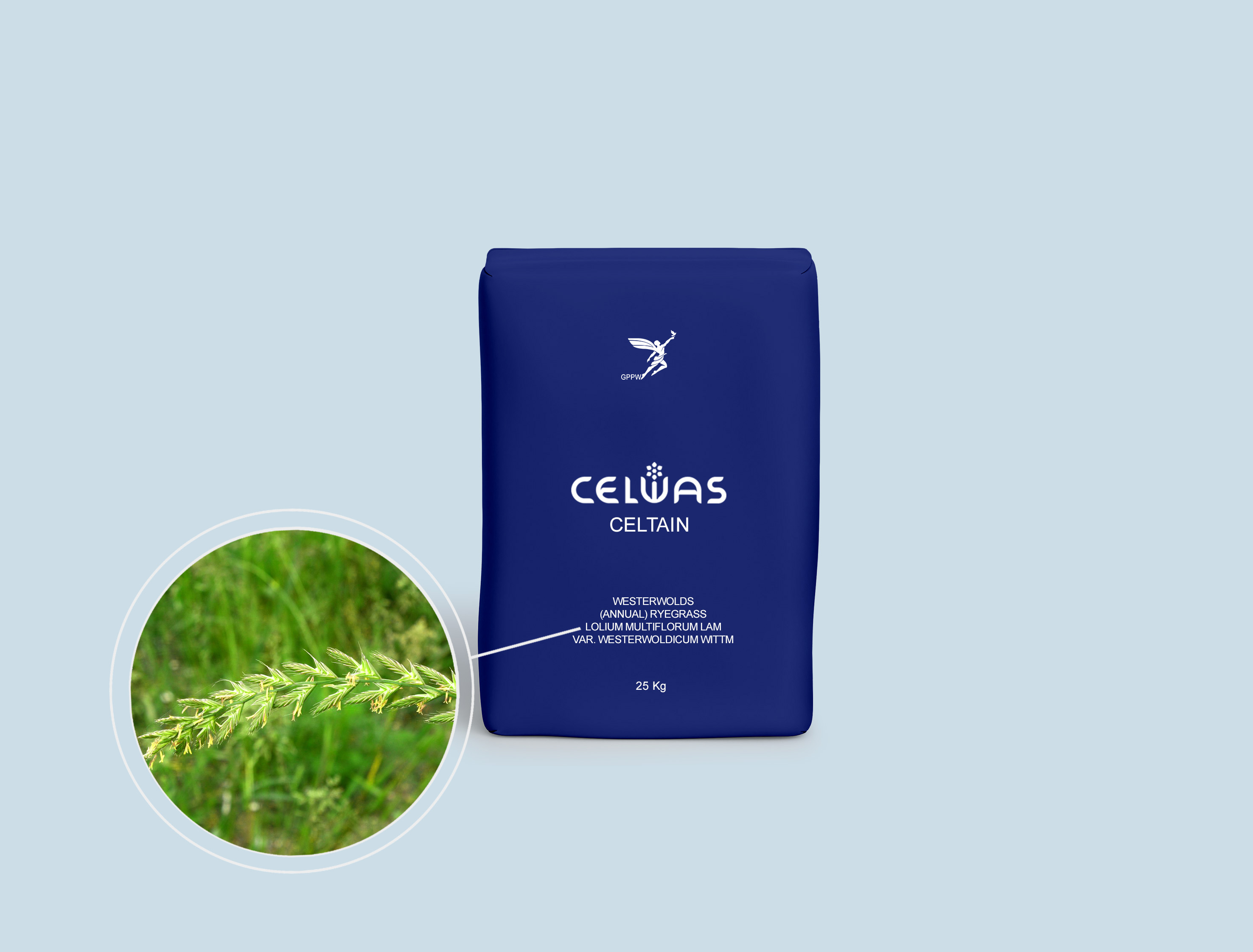 CELTAIN<br />fodder grasses and legumes