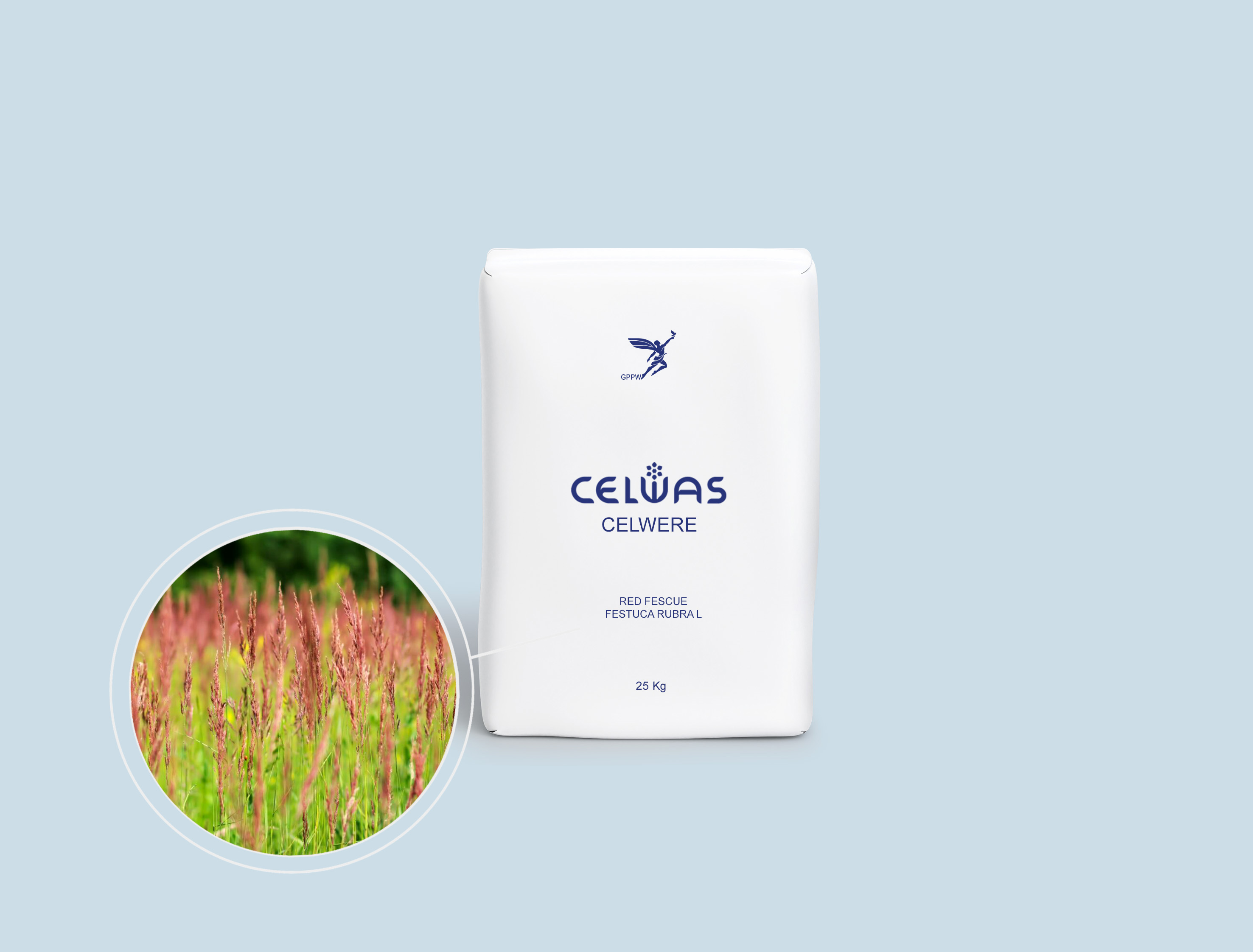 CELWERE<br />fodder grasses and legumes