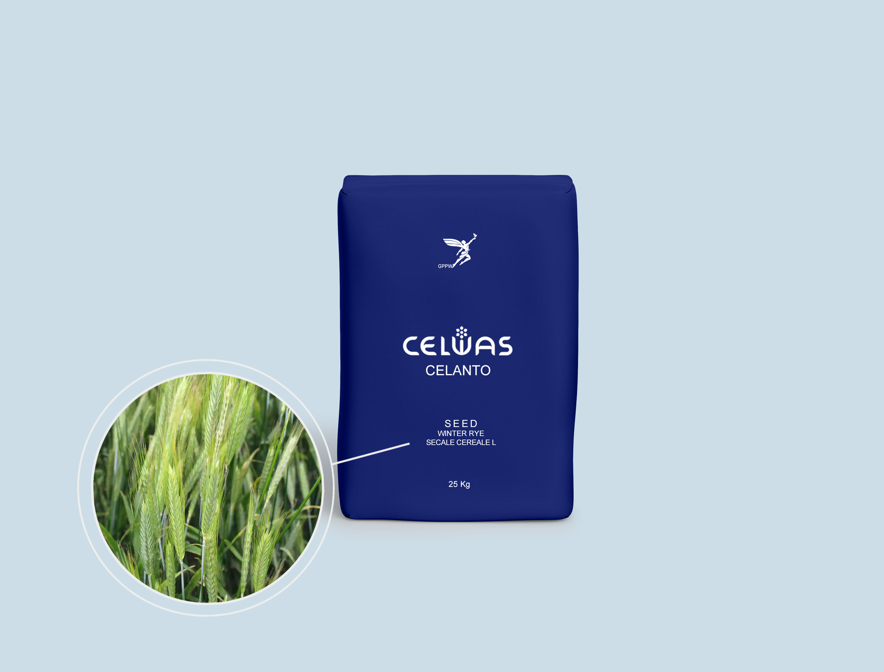 CELANTO<br />winter cereals