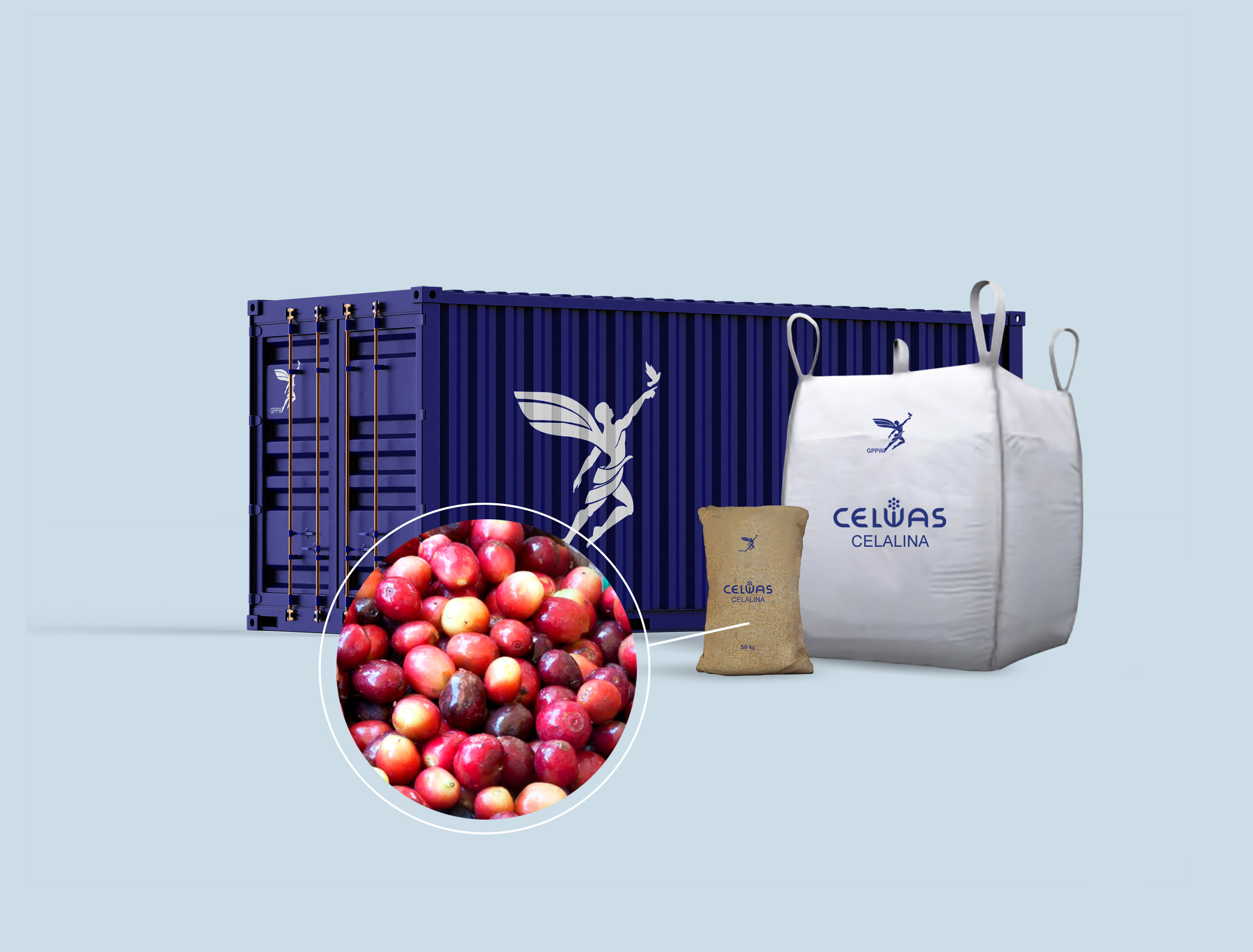 CELALINA<br />arabica green coffee beans